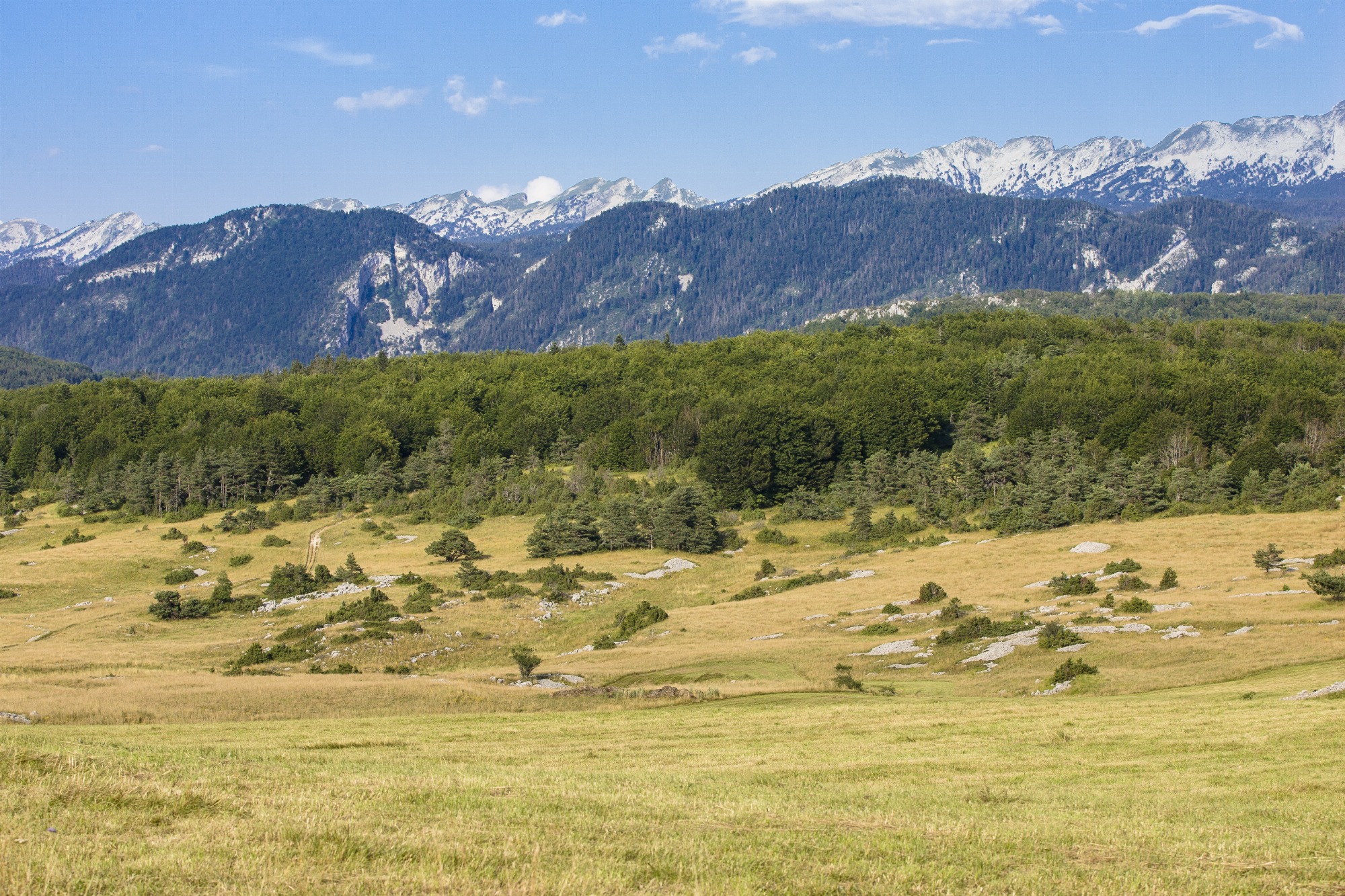 Portes Ouvertes 2026